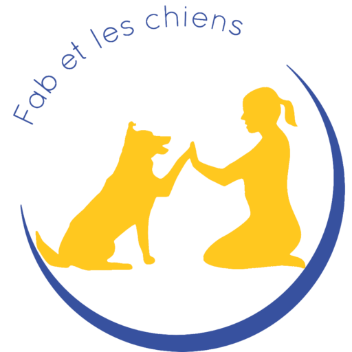 Fab et les chiens